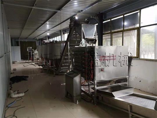 五香花生米生產線